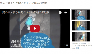 鳥のさえずり,フロム50