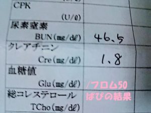 ぱぷの慢性腎不全の結果,フロム50