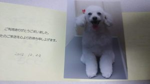 ぱーくん2012年12月,フロム50