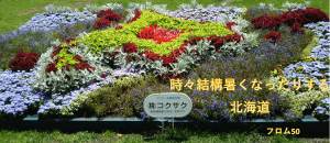 大通公園の花壇,フロム50