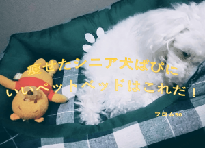 ぱーくんベッドs,フロム50