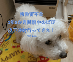 ストーブの前のぱぴ,フロム50