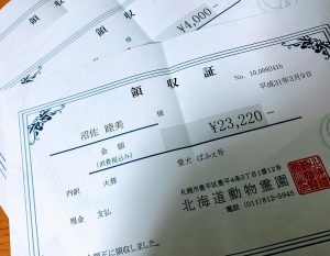 ぱぴの出発,フロム50
