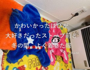 ぱぴの好きな場所,フロム50