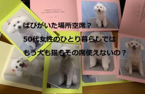 ぱぴの席,フロム50