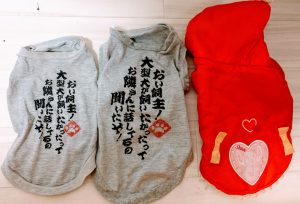 断捨離したぱぴとクリームの服