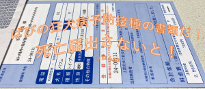 狂犬病予防接種のシーズン,フロム50