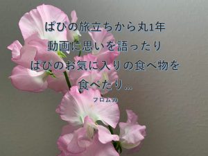 ぱぴの死から丸1年,フロム50