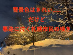 札幌の悪路に泣く私、札幌市民
